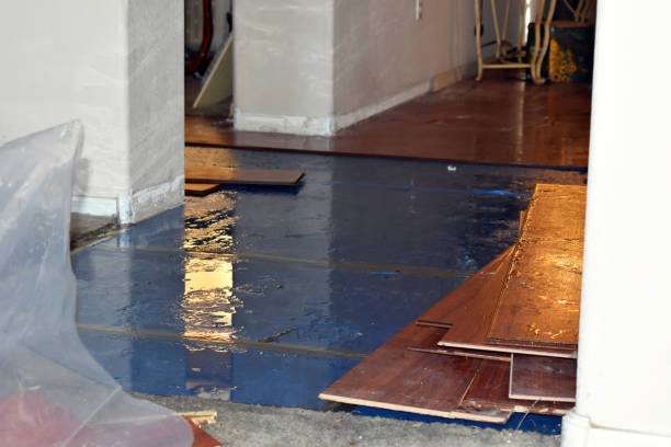 Professional Water Damage Restoration technician working in Bapchule, AZ